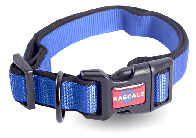 COLLAR ACOLCHADO AZUL M