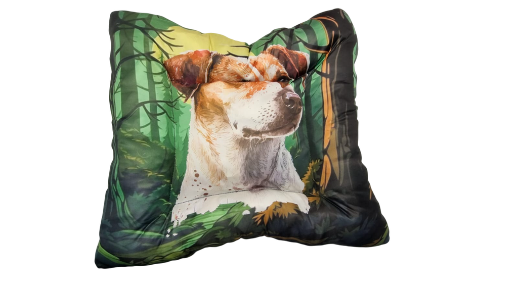 COLCHONETAS PERSONAJES (50x60)