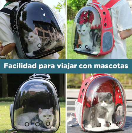 MOCHILA CAPSULA TRANSPARENTE 