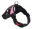 ARNES ACOLCHADO PET DOG XL (80-110 cm)