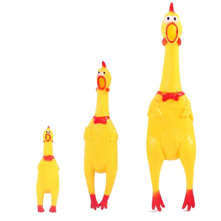 GALLINA CHICA