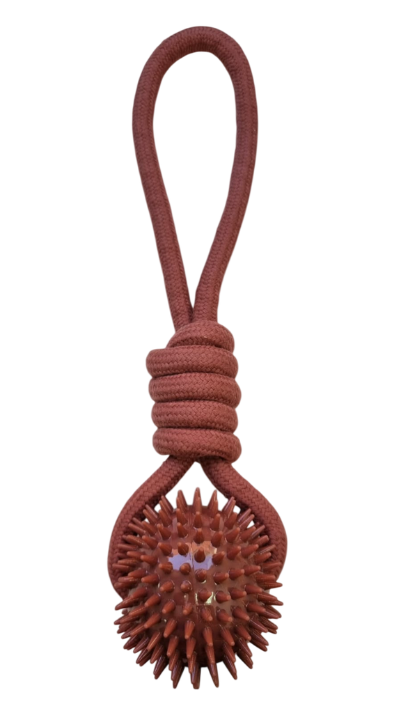 PELOTA PINCHUDA CON SOGA MANIJA (60037)