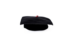 [0397] GORRO DE EGRESADOS TELA x1